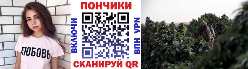 Купить Канабис  СОЛЬ  Cocaine  Гашиш  МЕФ  Прохладный
