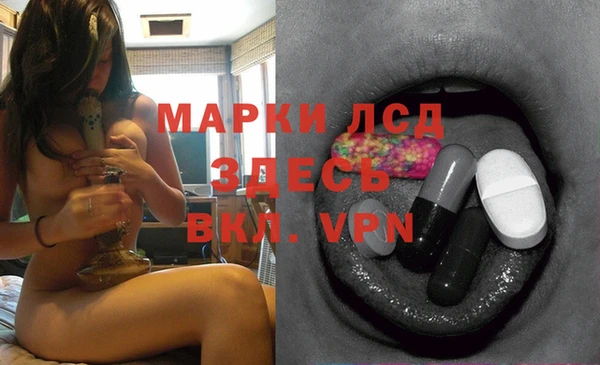 гидропоника Сатка